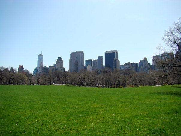 Central Park - Sheep Meadow